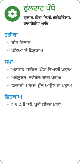 Card (32)