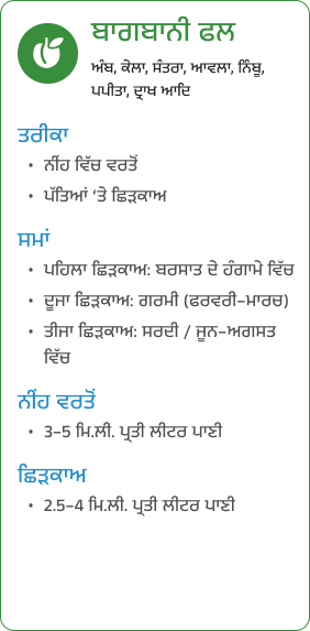 Card (33)