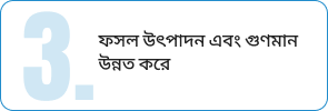 Tagline Wrapper (12)